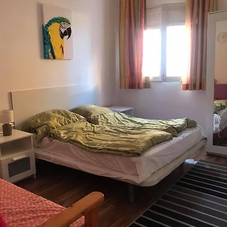 Piso Con 2 Habitaciones,san Juan De La Rambla *